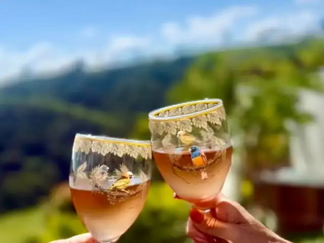 Duas taças num brinde, com as montanhas ao fundo